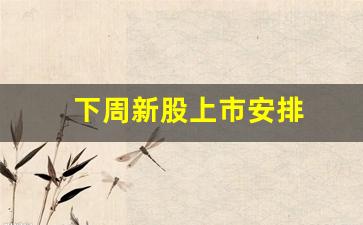 下周新股上市安排(下周新上市的股票)_https://www.kairu168.com_上期能源_第1张