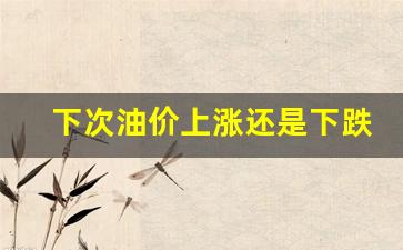 下次油价上涨还是下跌好呢-下次油价上涨还是下跌好