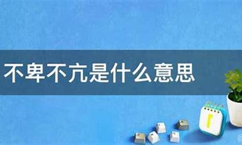 不卑不亢什么意思中文翻译_不卑不亢什么意思中文翻译成英文