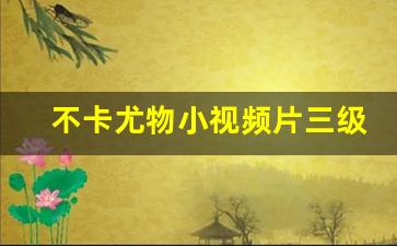 久久精品国产欧美：不卡尤物小视频片三级成