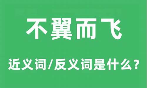 不翼而飞什么意思_不翼而飞什么意思解释