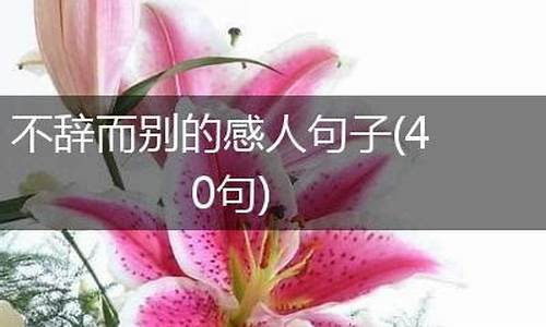 不辞而别造句长句简单一点-不辞而别的意思和造句