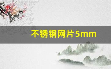 不锈钢网片5mm(不锈钢网片图片)_https://www.haiwangdasha.com_上交所_第1张