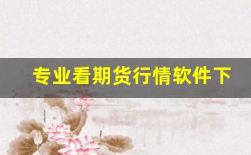 专业看期货行情软件下载(鸡蛋期货行情软件下载)_https://www.jyywjc.com_股票价格_第1张