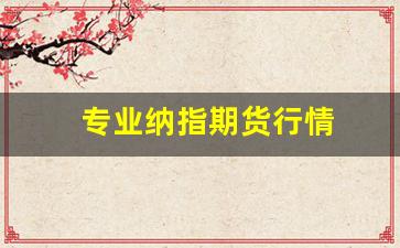 专业纳指期货行情(纳指期货是啥)_https://www.jianghaiboli.com_恒指期货_第1张