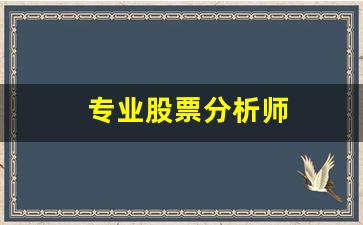专业股票分析师(股票分析师读什么专业)_https://www.hangfeite.com_深交所_第1张