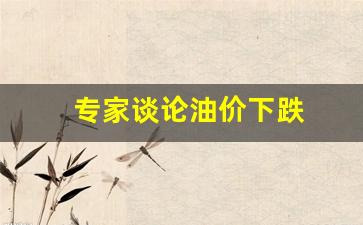 油价下跌专家怎么说-专家谈论油价下跌