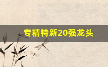 专精特新20强龙头(专精特新细分龙头)_https://www.syklpowerbike.com_北交所_第1张