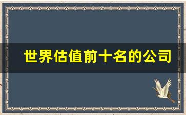 世界估值前十名的公司(中国估值前十名的公司)_https://www.huakunhengjia.com_期货资讯_第1张