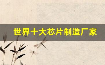 世界十大芯片制造厂家排名(世界十大芯片制造厂家排名)_https://www.hbxfywj.com_股票知识_第1张