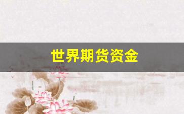 世界期货资金(世界期货行情)_https://www.wguangz.com_大商所_第1张