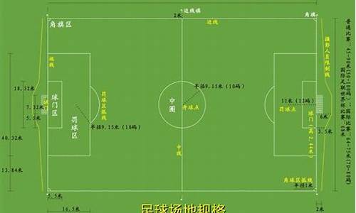 世界杯场地的要求是长度是多少米?宽度是多少米?-世界杯标准场地
