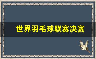 世界羽毛球联赛决赛-2021年世界羽毛球总决赛