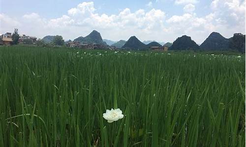 丘北游玩攻略,丘北住宿攻略