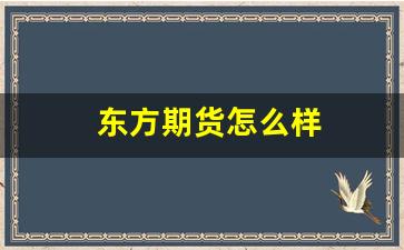 东方期货怎么样(东方期货是东方财富吗)_https://www.xzdzcjx.com_创业板_第1张