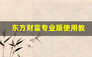 东方财富专业版使用教程(东方财富专业版下载)_https://www.fzdzcxj.com_上交所_第1张