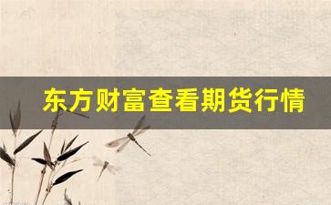 东方财富查看期货行情(煤炭期货行情实时行情东方财富网)_https://www.gdbxwh.com_天猫运营_第1张