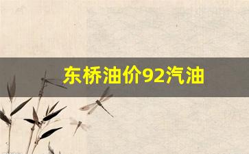 东桥炼油厂在哪个村-东桥油价92汽油