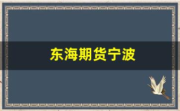东海期货宁波(东海期货电话)_https://www.eamstsz.com_上交所_第1张