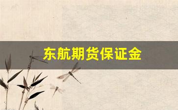 东航期货保证金(东航期货保证金可以调整吗)_https://www.fzdzcxj.com_科创板_第1张