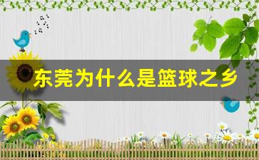 东莞篮球氛围为什么那么好-东莞为什么是篮球之乡