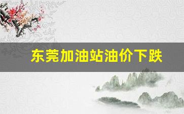 东莞加油站油价下跌多少-东莞加油站油价下跌