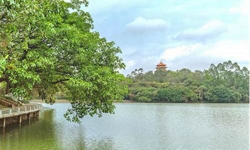 东莞虎英公园夜景,东莞虎英公园可以野餐吗