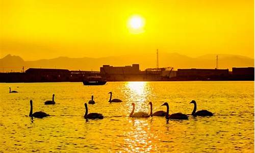 东营攻略一日游_东营一日游必去的四大景点