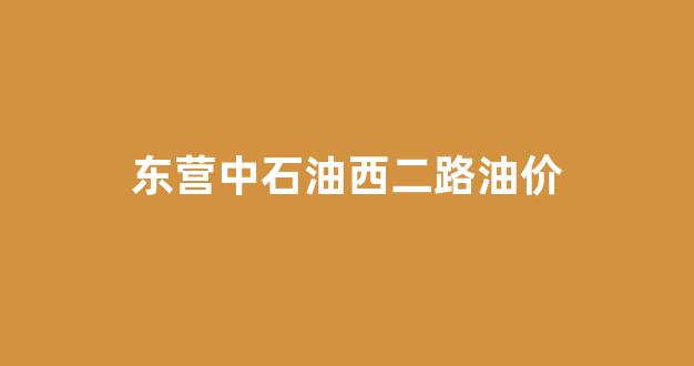 东营中石油西二路油价_东营中石化油价今日价格92