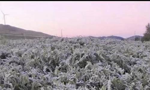 东营11月底冷不冷_东营今年霜冻天气