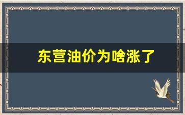东营油价为啥涨了_东营油价为啥涨了这么多