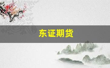 东证期货(鲁证期货)_https://www.fzdzcxj.com_上交所_第1张