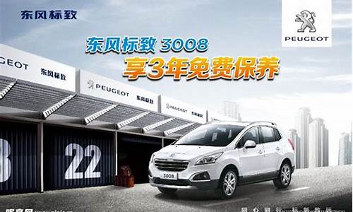 东风标致汽车广告土豆_东风标致全新一代2008广告