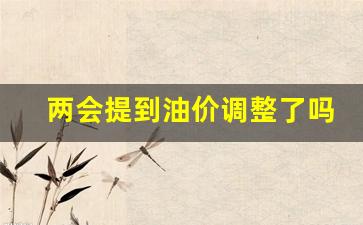 两会下跌原因-两会提到油价调整了吗