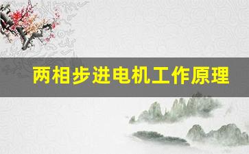 两相步进电机工作原理(两相步进电机怎么接线)_https://www.gzyhshgzzx.com_大商所_第1张