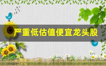 严重低估值便宜龙头股(低估值优质股票)_https://www.jnskb.com_装修公司_第1张