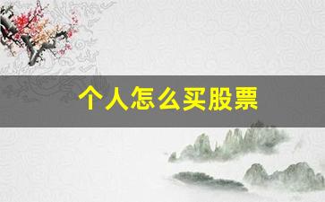 个人怎么买股票(怎么进股市买股票)_https://www.qgjzrcxxzxpt.com_大商所_第1张