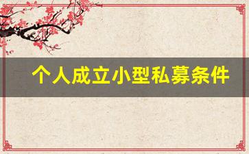 个人成立小型私募条件(个人成立小型私募条件要求)_https://www.wanyuyiyao.com_上交所_第1张