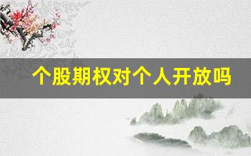 个股期权对个人开放吗(个股期权)_https://www.kairu168.com_上期所_第1张
