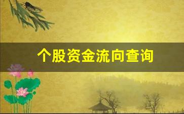 个股资金流向查询(个股资金流向首页)_https://www.luoxuangg888.com_深交所_第1张