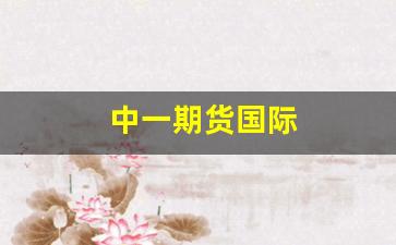 中一期货国际(中一期货有限公司)_https://www.wguangz.com_大商所_第1张