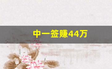 中一签赚44万(中一签能盈利)_https://www.senxinmaoyi.com_邮政编码_第1张