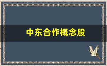 中东合作概念股(中东合作概念股票)_https://www.fzdzcxj.com_上交所_第1张
