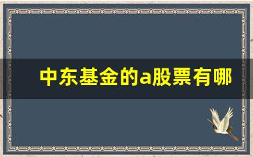 中东基金的a股票有哪些(中东基金会排名)_https://www.ljyuan-tech.com_上交所_第1张