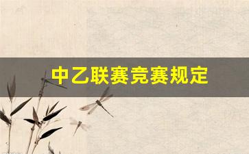 中乙赛制2020规则-中乙联赛竞赛规定