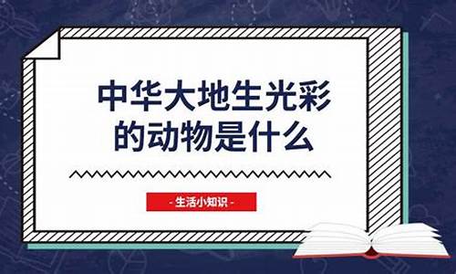 中华大地生光彩是什么生肖_中华大地生光彩猜生肖