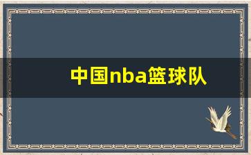 中国nba篮球队-中国nba篮球队员