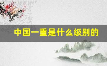 中国一重是什么级别的央企(中国一重是什么级别的央企中国一重研究所)_https://www.gdbxwh.com_开网店_第1张