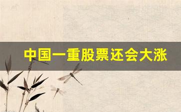 中国一重股票还会大涨吗今天(中国一重股票现在能买吗)_https://www.shshucaipeisong.com_深交所_第1张