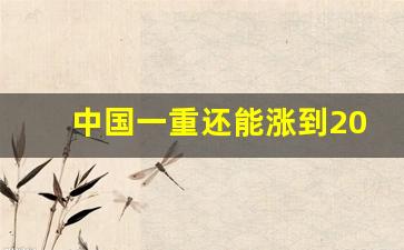 中国一重还能涨到20多吗(中国一重是否有潜力2020年)_https://www.haiwangdasha.com_上期能源_第1张